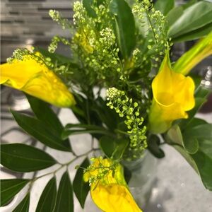 Meet your Posher, Lili